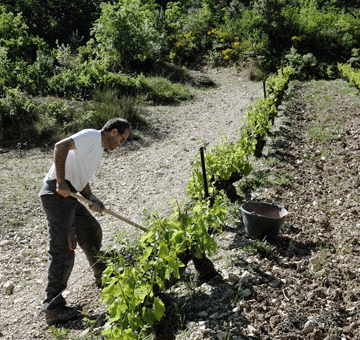 Les Amis de la Bouïssière Vin de France 2012-3203